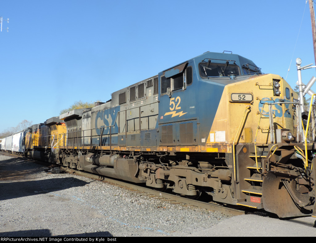 CSX 52 in full sun 